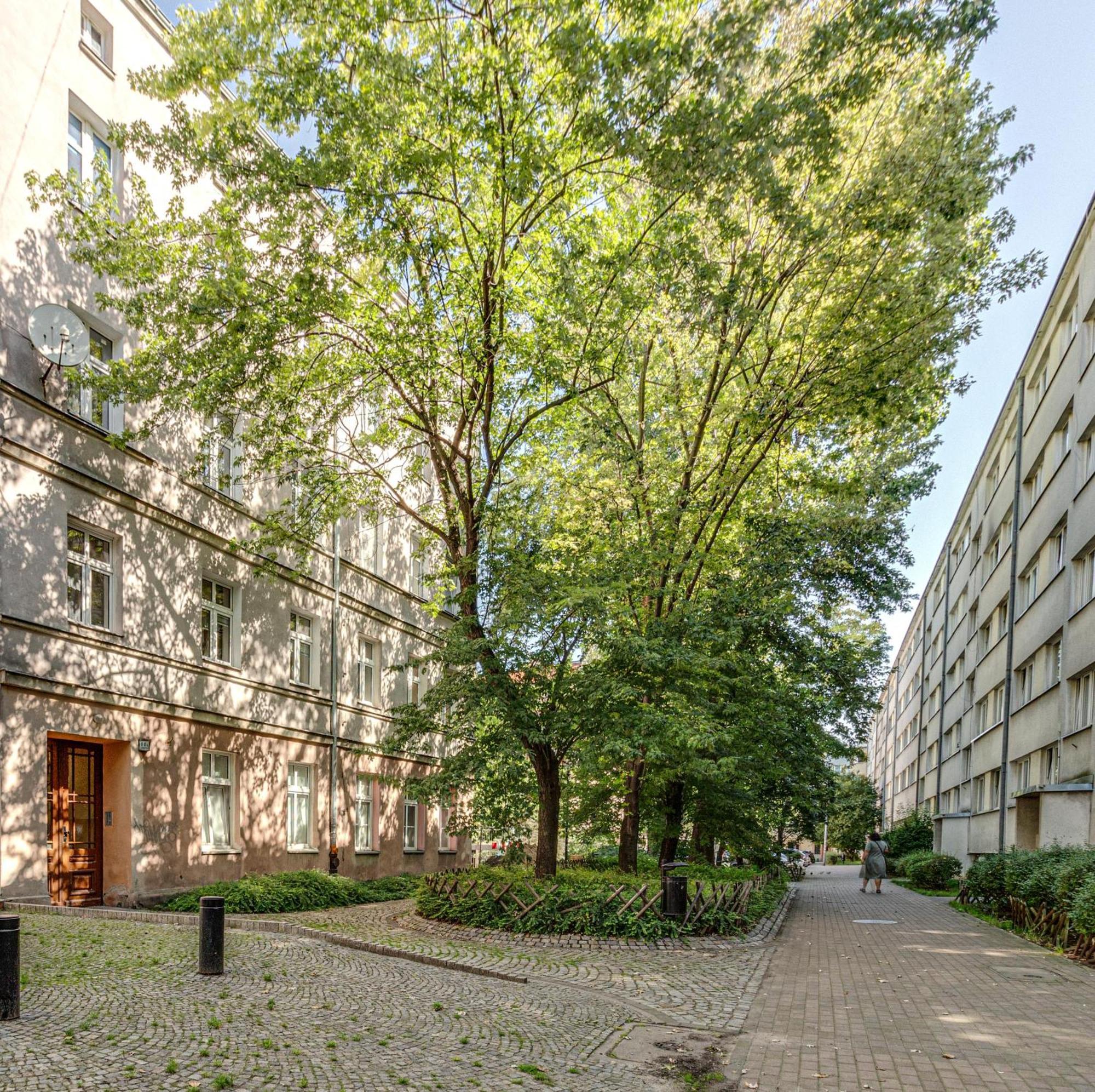 Rentplanet - Studio Nadodrze Wrocław Zewnętrze zdjęcie